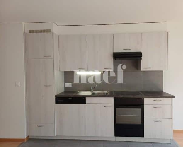 À louer : Appartement 2 Pieces Neuchâtel - Ref : 219586.3002 | Naef Immobilier