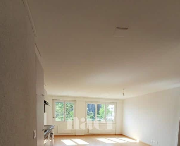 À louer : Appartement 2 Pieces Neuchâtel - Ref : 219586.3002 | Naef Immobilier
