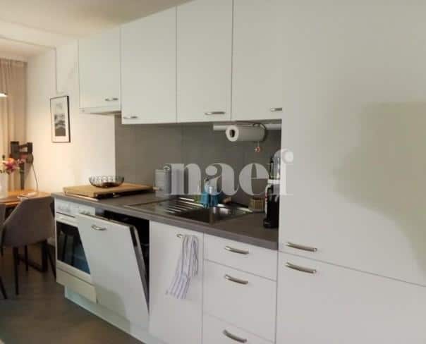 À louer : Appartement 2 Pieces Neuchâtel - Ref : 219587.2002 | Naef Immobilier