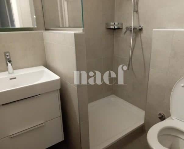 À louer : Appartement 2 Pieces Neuchâtel - Ref : 219589.2002 | Naef Immobilier