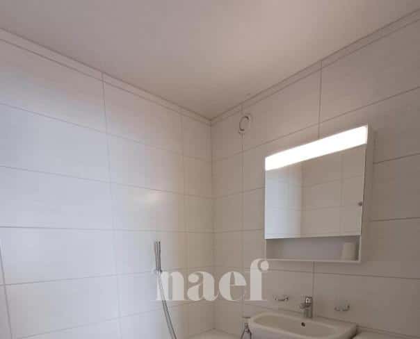 À louer : Appartement 2 Pieces Neuchâtel - Ref : 219589.7002 | Naef Immobilier
