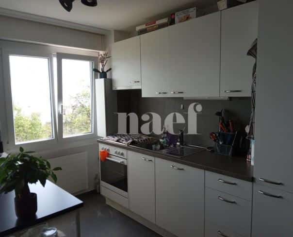À louer : Appartement 2 Pieces Neuchâtel - Ref : 219590.6002 | Naef Immobilier