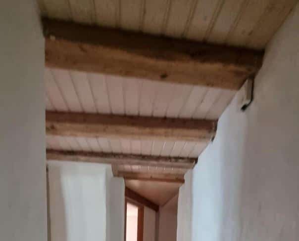 À louer : Appartement 5 Pieces Peseux - Ref : 219602.1001 | Naef Immobilier