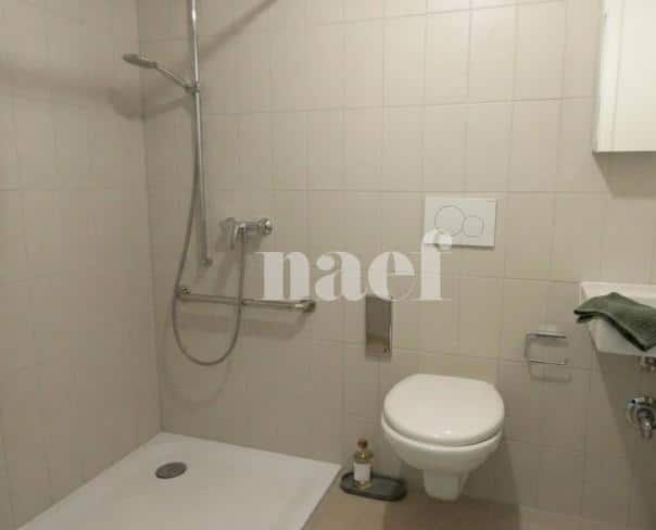 À louer : Appartement 2 Pieces Neuchâtel - Ref : 219700.2003 | Naef Immobilier