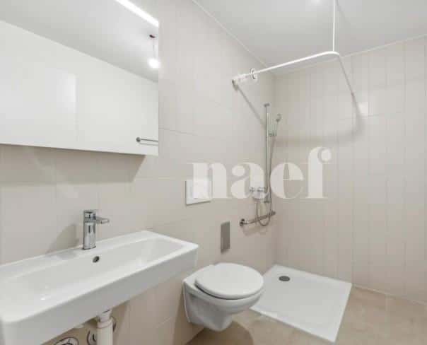 À louer : Appartement 6 Pieces Neuchâtel - Ref : 219702.1007 | Naef Immobilier