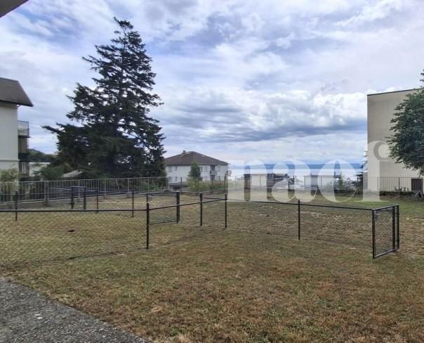 À louer : Appartement 2 Pieces Neuchâtel - Ref : 219711.1 | Naef Immobilier