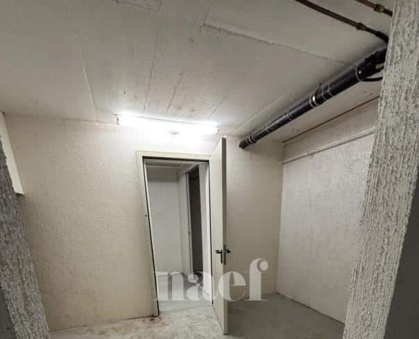 À louer : Surface Commerciale Arcade Grand-Lancy - Ref : 219727.1 | Naef Immobilier