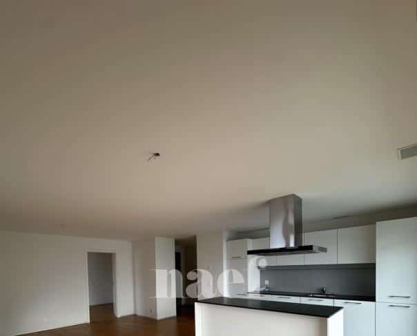 À louer : Appartement 3.5 Pieces Le Landeron - Ref : 219805.2004 | Naef Immobilier