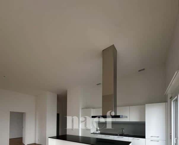 À louer : Appartement 3.5 Pieces Le Landeron - Ref : 219805.3004 | Naef Immobilier