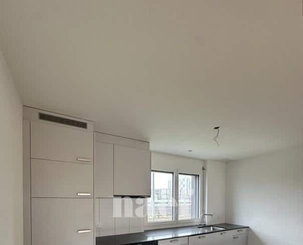 À louer : Appartement 4.5 Pieces Delémont - Ref : 219819.2 | Naef Immobilier