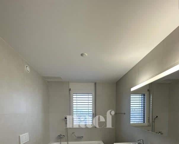 À louer : Appartement 4.5 Pieces Delémont - Ref : 219819.3002 | Naef Immobilier