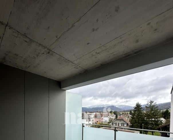 À louer : Appartement 5.5 Pieces Delémont - Ref : 219819.3003 | Naef Immobilier