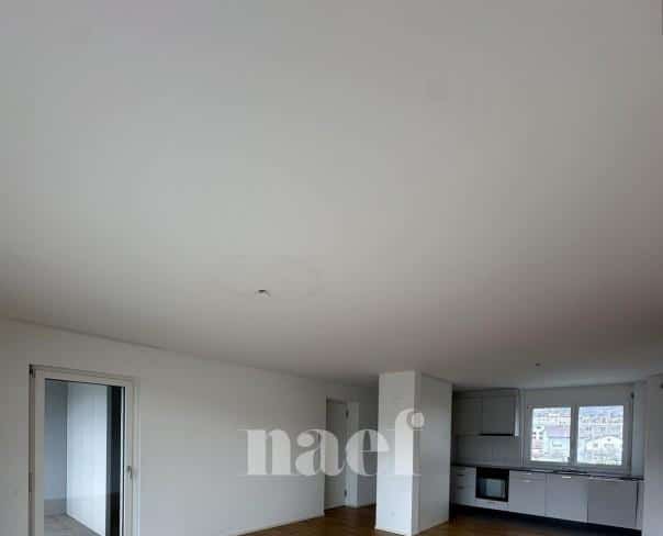 À louer : Appartement 3.5 Pieces Delémont - Ref : 219820.1001 | Naef Immobilier