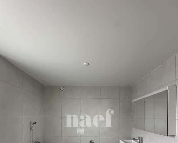 À louer : Appartement 3.5 Pieces Delémont - Ref : 219820.1001 | Naef Immobilier