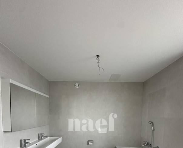 À louer : Appartement 3.5 Pieces Delémont - Ref : 219820.1002 | Naef Immobilier