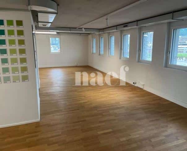 À louer : Surface Commerciale Atelier Delémont - Ref : 219822.80001 | Naef Immobilier