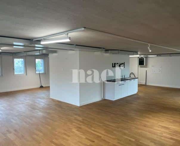 À louer : Surface Commerciale Atelier Delémont - Ref : 219822.80001 | Naef Immobilier