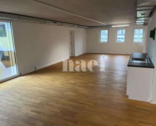À louer : Surface Commerciale Atelier Delémont - Ref : 219822.80001 | Naef Immobilier