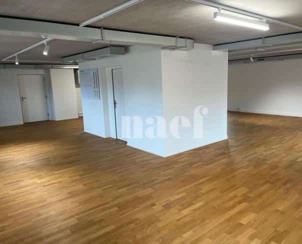 À louer : Surface Commerciale Atelier Delémont - Ref : 219822.80001 | Naef Immobilier