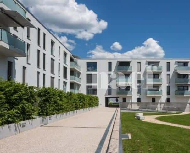 À louer : Appartement 1.5 Pieces Delémont - Ref : 219823.3002 | Naef Immobilier