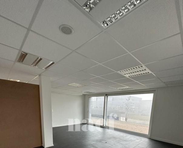 À louer : Surface Commerciale Atelier Delémont - Ref : 219823.80002 | Naef Immobilier