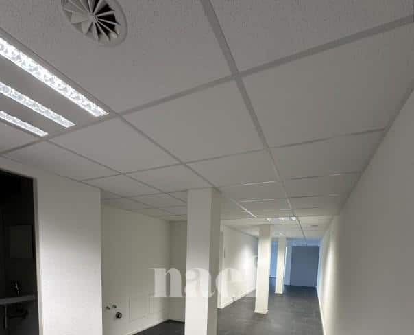 À louer : Surface Commerciale Atelier Delémont - Ref : 219823.80002 | Naef Immobilier