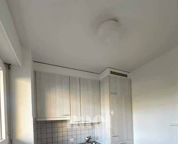 À louer : Appartement 2 Pieces Colombier - Ref : 219825.6 | Naef Immobilier