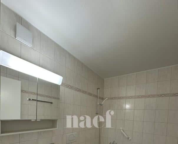À louer : Appartement 2 Pieces Cortaillod - Ref : 219835.3002 | Naef Immobilier