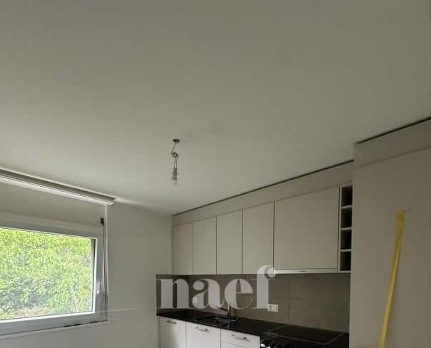 À louer : Appartement 4.5 Pieces Neuchâtel - Ref : 219843.3001 | Naef Immobilier