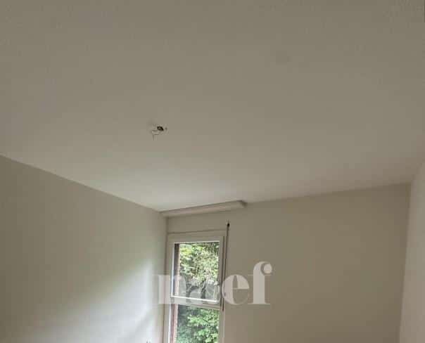 À louer : Appartement 4.5 Pieces Neuchâtel - Ref : 219843.4002 | Naef Immobilier