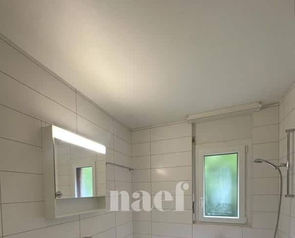 À louer : Appartement 4.5 Pieces Neuchâtel - Ref : 219843.4002 | Naef Immobilier