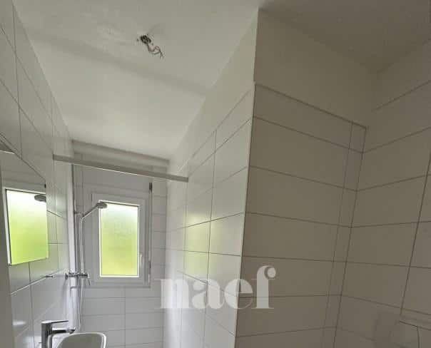 À louer : Appartement 4.5 Pieces Neuchâtel - Ref : 219843.4002 | Naef Immobilier