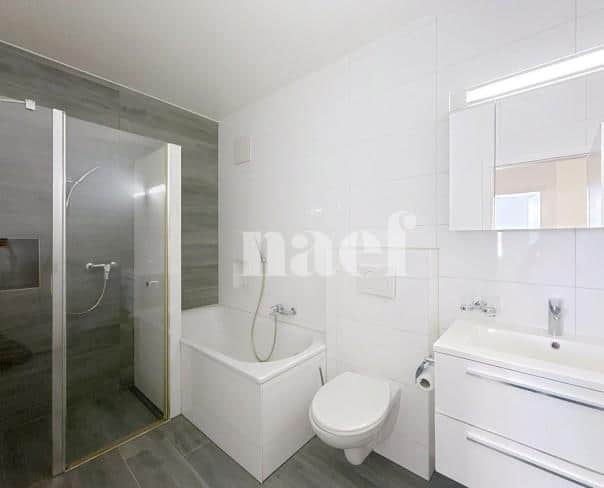 À louer : Appartement 3.5 Pieces Echallens - Ref : 223479.1002 | Naef Immobilier