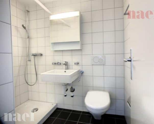 À louer : Appartement 1 Pieces Yverdon-les-Bains - Ref : 223663.3010 | Naef Immobilier