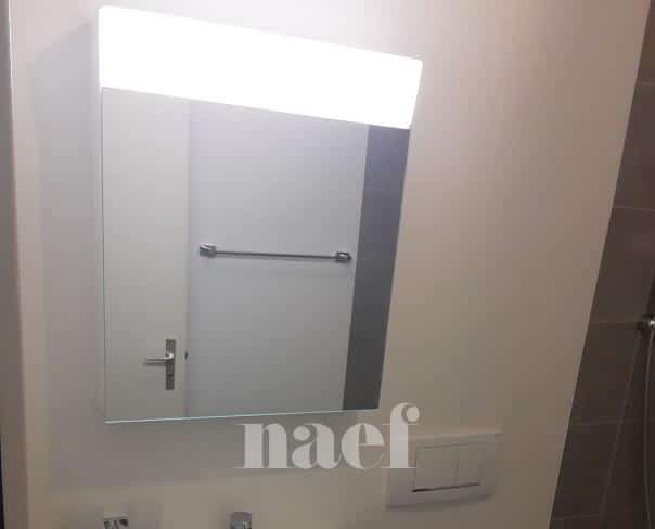 À louer : Appartement 5 Pieces Genève - Ref : 223681.1002 | Naef Immobilier