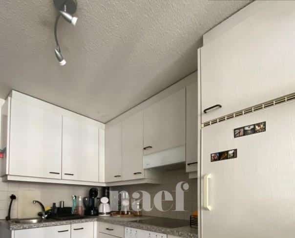À louer : Appartement 1.5 Pieces Fribourg - Ref : 224214.2001 | Naef Immobilier
