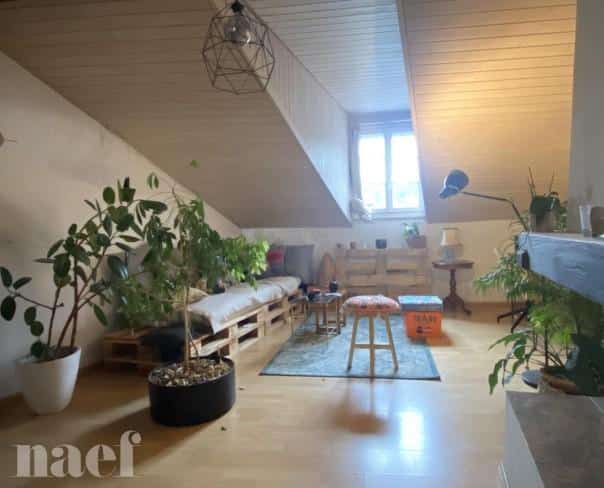 À louer : Appartement 3.5 Pieces Fribourg - Ref : 224214.4001 | Naef Immobilier