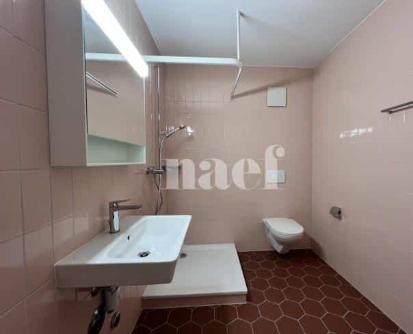 À louer : Appartement 2.5 Pieces Fribourg - Ref : 224259.4008 | Naef Immobilier