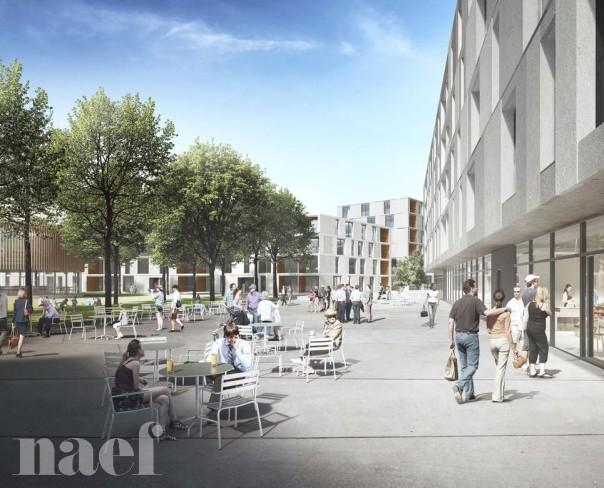 À louer : Appartement 1.5 Pieces Crissier - Ref : 224389.7 | Naef Immobilier
