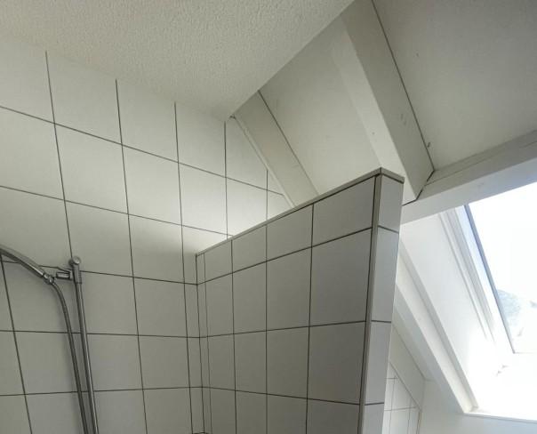 À louer : Appartement 5.5 Pieces Couvet - Ref : 229111.3001 | Naef Immobilier