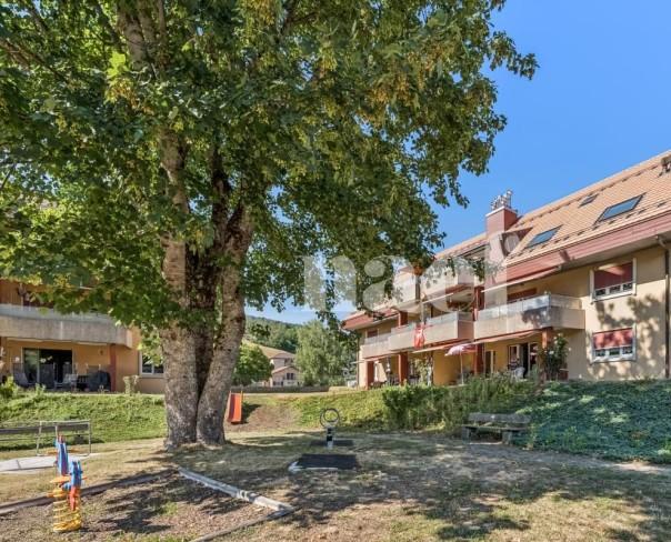 À louer : Appartement 5.5 Pieces Couvet - Ref : 229111.3001 | Naef Immobilier