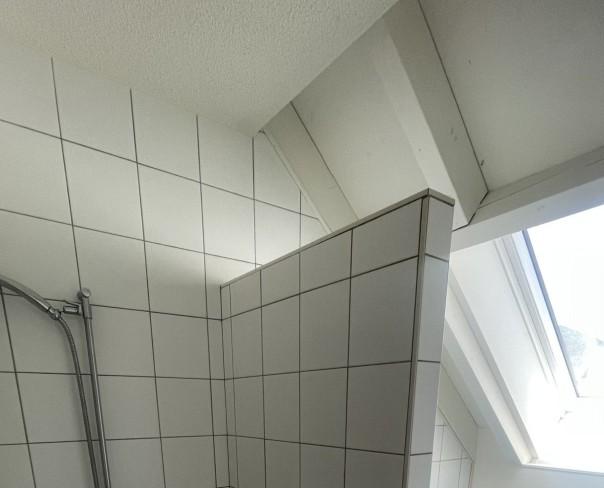 À louer : Appartement 5.5 Pieces Couvet - Ref : 229111.3002 | Naef Immobilier