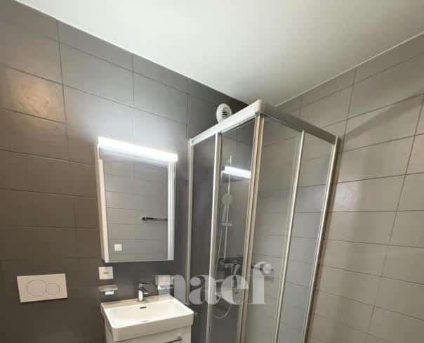 À louer : Appartement 3.5 Pieces Nyon - Ref : 233621.1011 | Naef Immobilier
