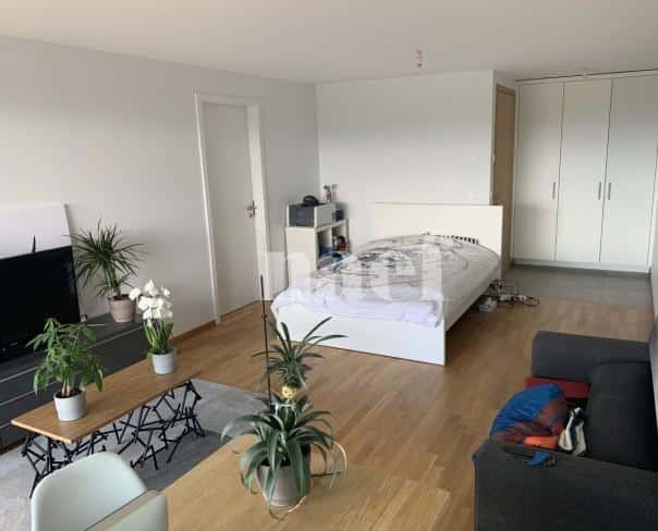 À louer : Appartement 1.5 Pieces Vich - Ref : 233672.3026 | Naef Immobilier