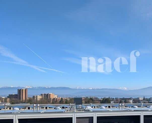 À louer : Appartement 4.5 Pieces Nyon - Ref : 233745.6001 | Naef Immobilier