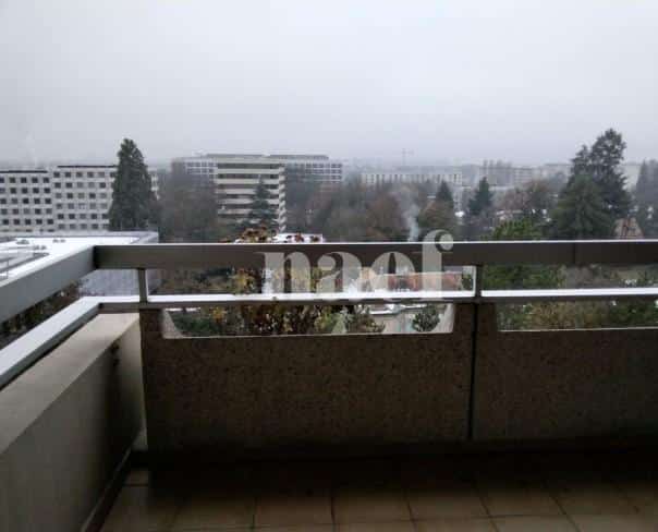 À louer : Appartement 4.5 Pieces Genève - Ref : 252880.10102 | Naef Immobilier