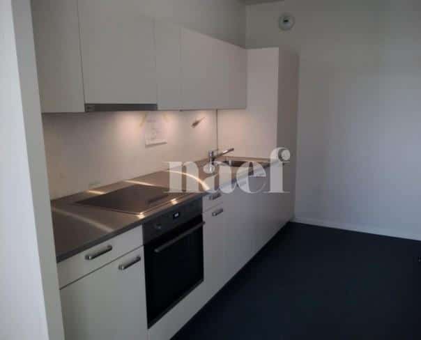 À louer : Appartement 3 Pieces Le Lignon - Ref : 261022.6001 | Naef Immobilier