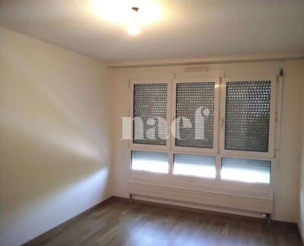 À louer : Appartement 5 Pieces Genève - Ref : 261032.5002 | Naef Immobilier
