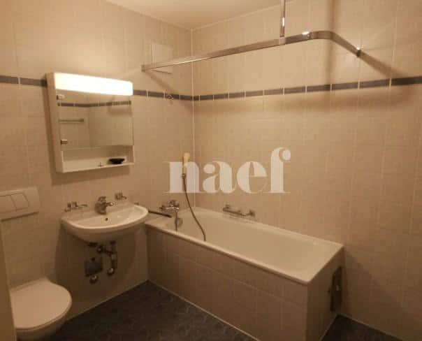 À louer : Appartement 6 Pieces Genève - Ref : 261036.6001 | Naef Immobilier