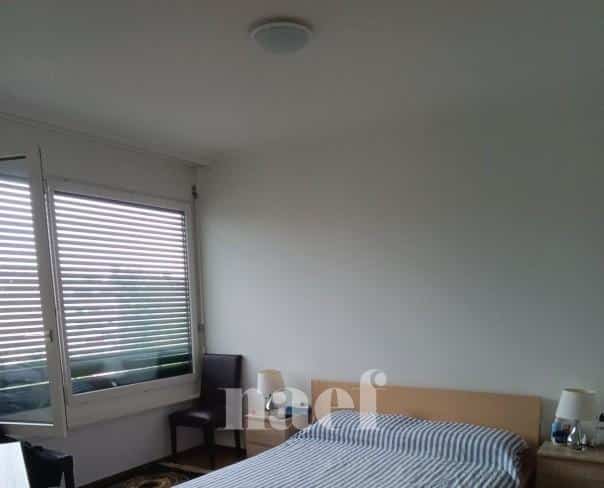 À louer : Appartement 6 Pieces Genève - Ref : 261041.13003 | Naef Immobilier